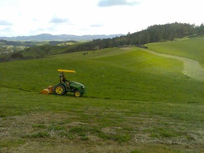 mowing 01.jpg